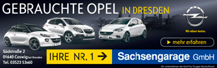 Gebrauchte Opel in Dresden